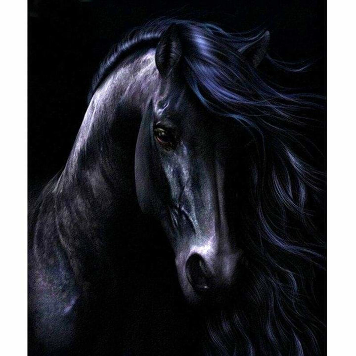 Full Drill - 5D DIY Diamond Painting Kits Artistic Black Horse - NEEDLEWORK KITS