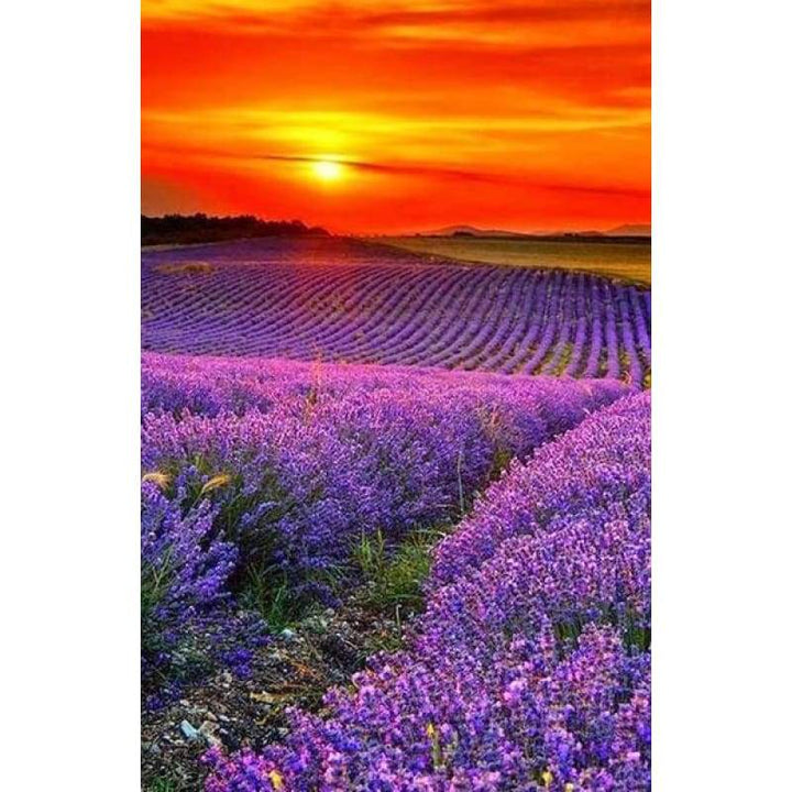 Dream Lavender Fields Full Drill - 5D Diy  Diamond Painting Kits NA00358 - NEEDLEWORK KITS