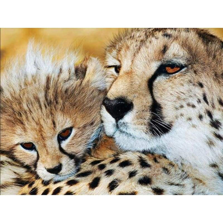 2019 Hot Sale Wall Decor Animal Leopard Portrait 5d Cross Stitch Kits VM8414 - NEEDLEWORK KITS