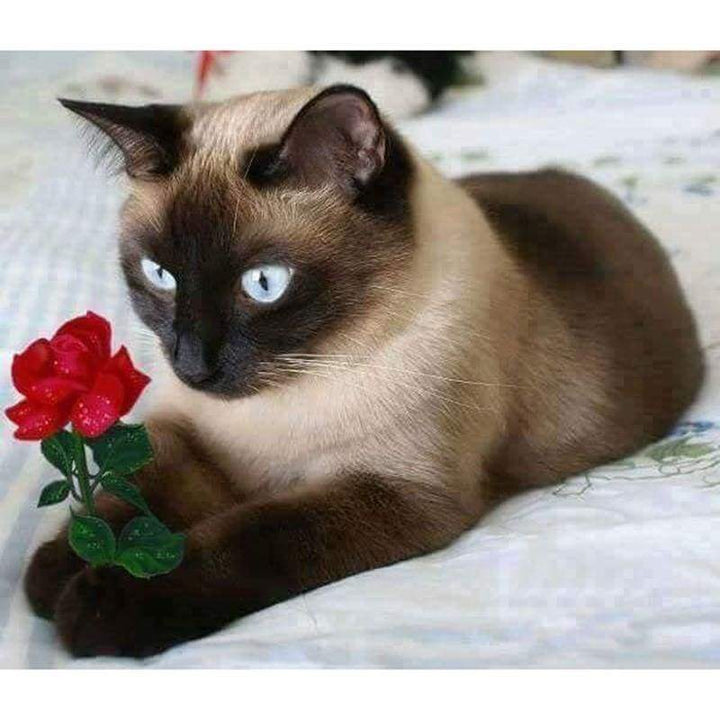 New Hot Sale Cute Cat Holding Flower Full Drill - 5D Diy Diamond Painting Kits VM1187 - NEEDLEWORK KITS