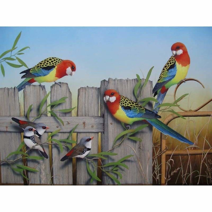 Eastern Rosellas & Firetails