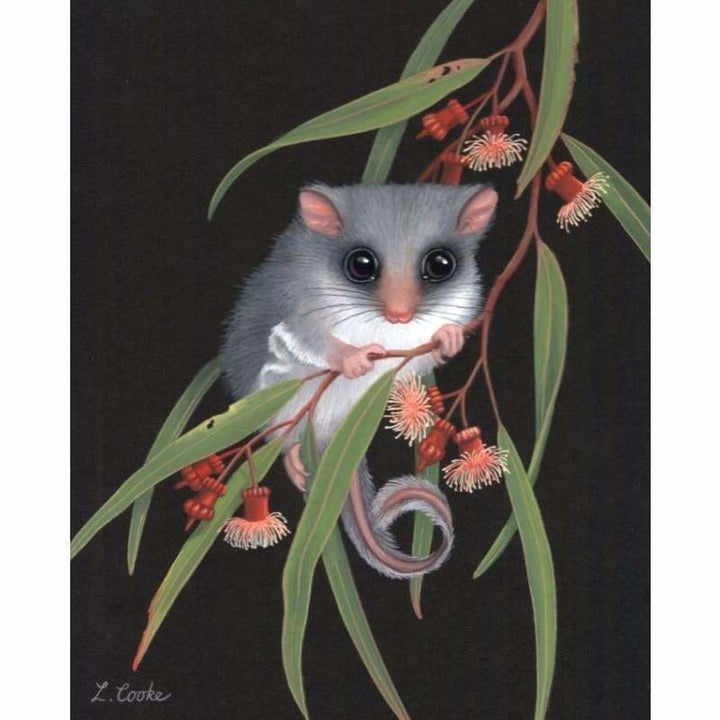 Feathertail Glider & Coral Gum Kit