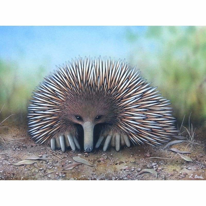 Echidna Kit