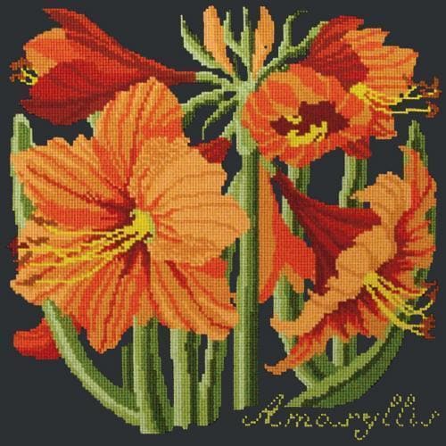 Amaryllis - NEEDLEWORK KITS