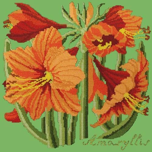 Amaryllis - NEEDLEWORK KITS