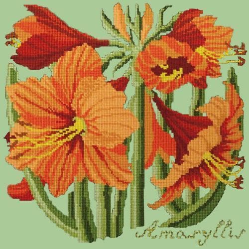 Amaryllis - NEEDLEWORK KITS