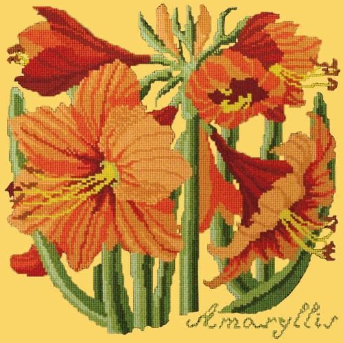 Amaryllis - NEEDLEWORK KITS