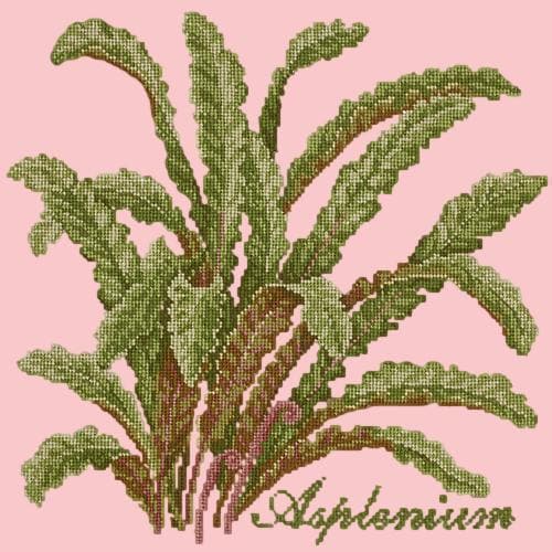 Asplenium - NEEDLEWORK KITS