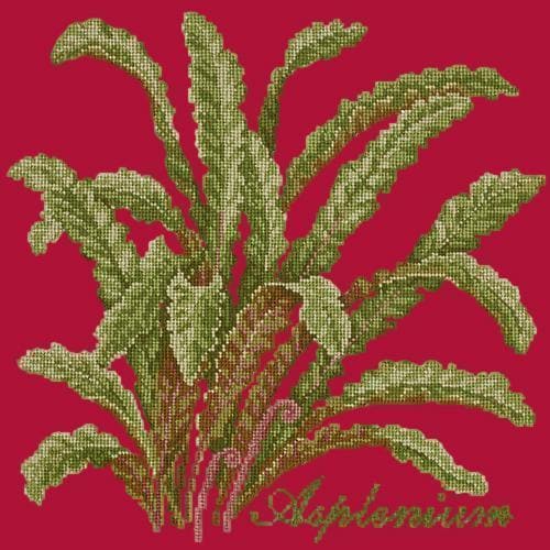 Asplenium - NEEDLEWORK KITS