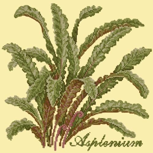 Asplenium - NEEDLEWORK KITS