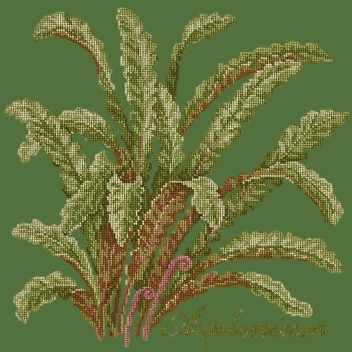 Asplenium - NEEDLEWORK KITS