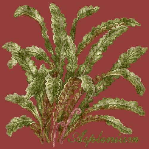 Asplenium - NEEDLEWORK KITS