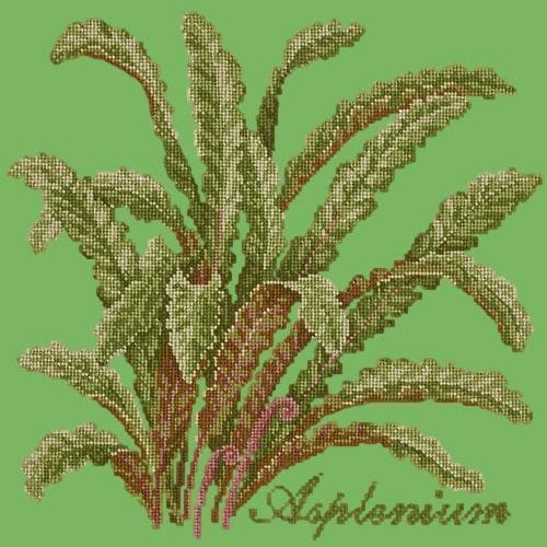 Asplenium - NEEDLEWORK KITS