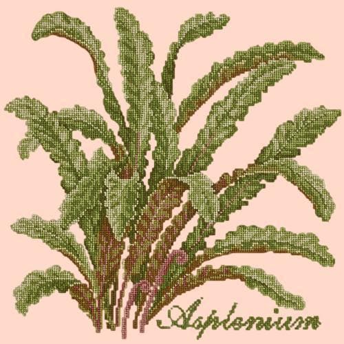 Asplenium - NEEDLEWORK KITS