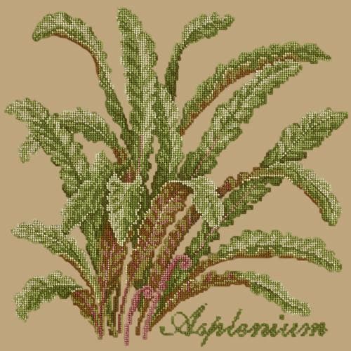 Asplenium - NEEDLEWORK KITS