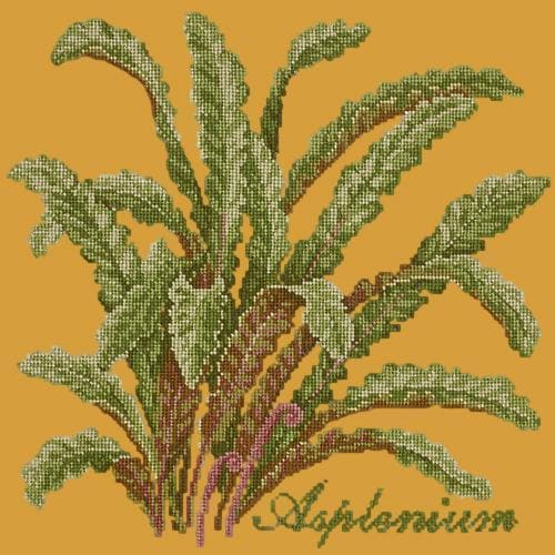 Asplenium - NEEDLEWORK KITS