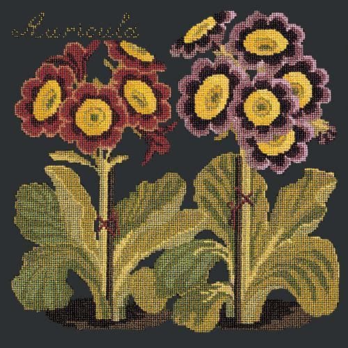 Auricula - NEEDLEWORK KITS