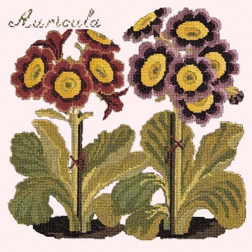 Auricula - NEEDLEWORK KITS