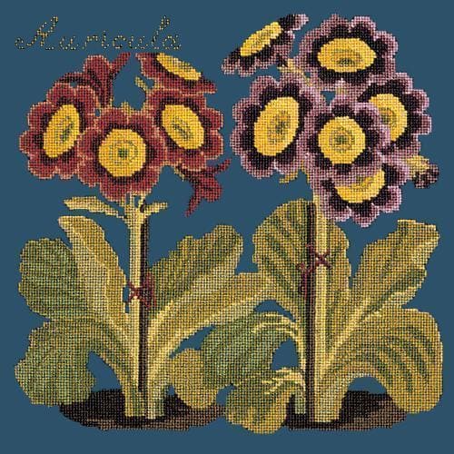 Auricula - NEEDLEWORK KITS