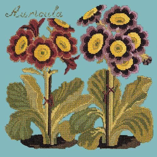 Auricula - NEEDLEWORK KITS