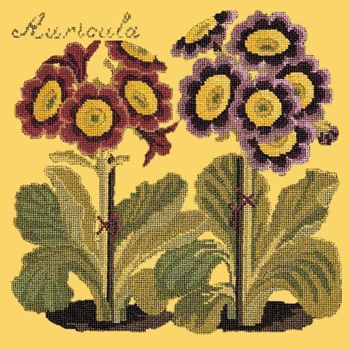 Auricula - NEEDLEWORK KITS