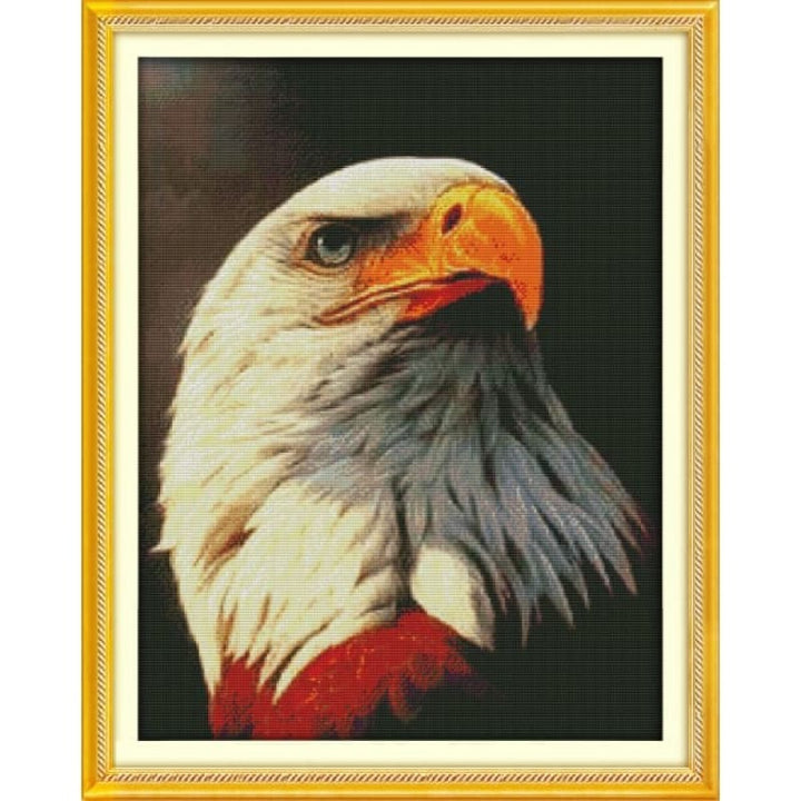 Bald eagle (1)