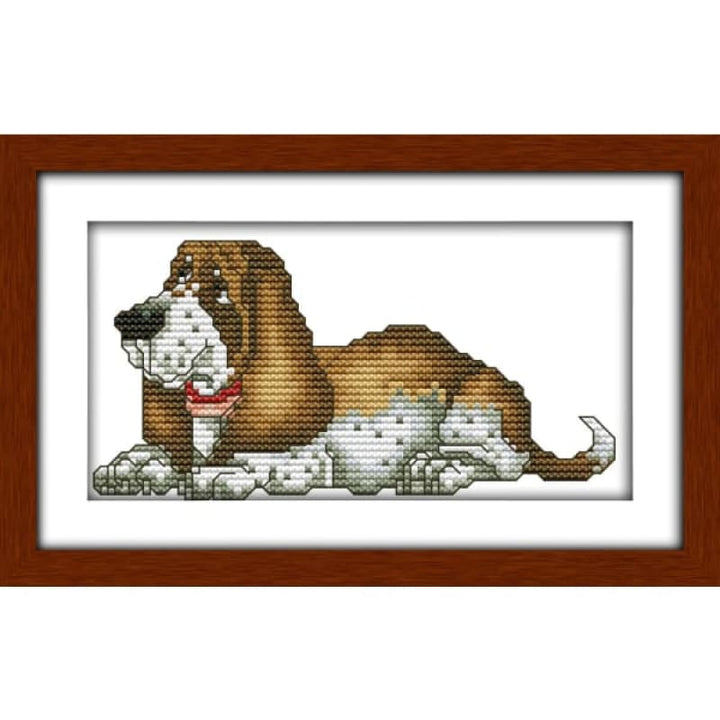 Basset hound (3)