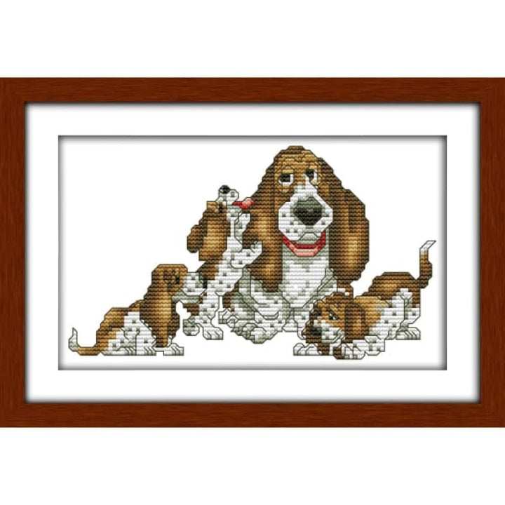 Basset hound (5)