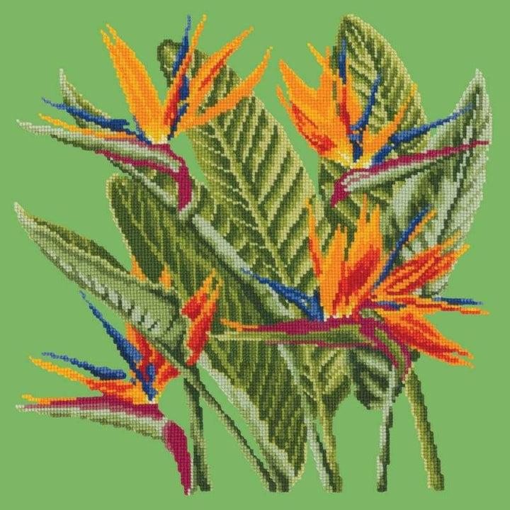 Bird of Paradise - NEEDLEWORK KITS