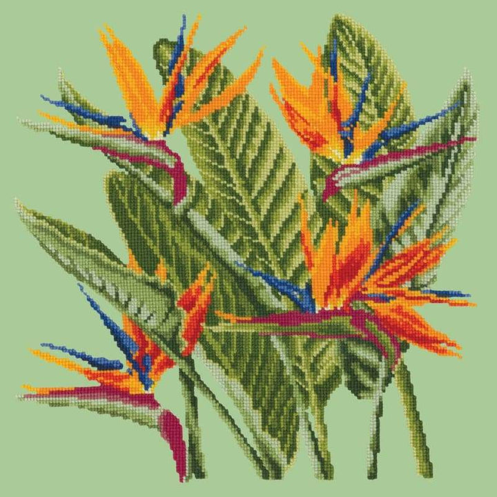 Bird of Paradise - NEEDLEWORK KITS