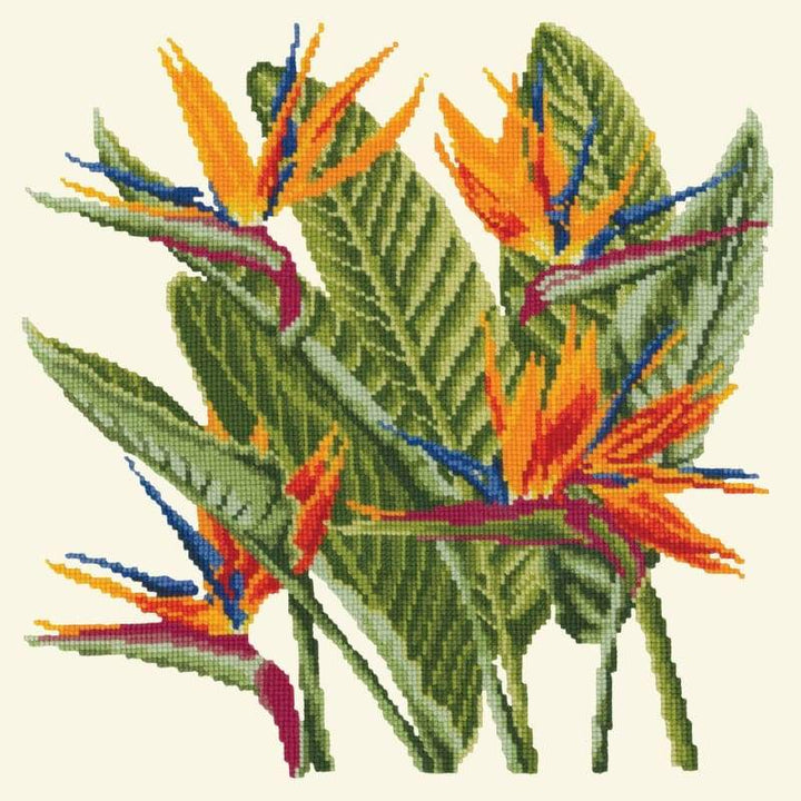 Bird of Paradise - NEEDLEWORK KITS