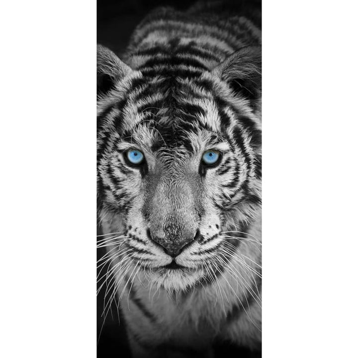 Black And White Tiger Blue Eyes- Full Drill Diamond Painting