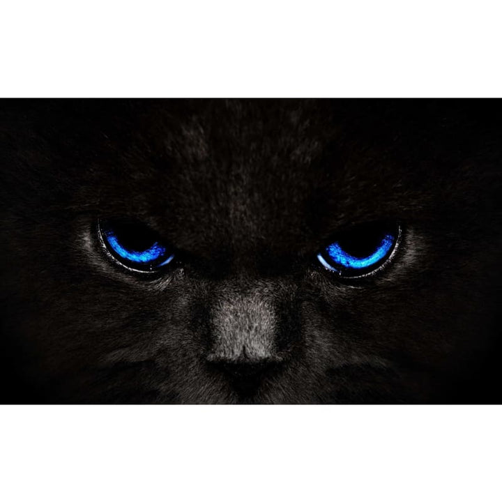 Black Cat Eyes (Blue) - Full Drill Diamond Painting - 