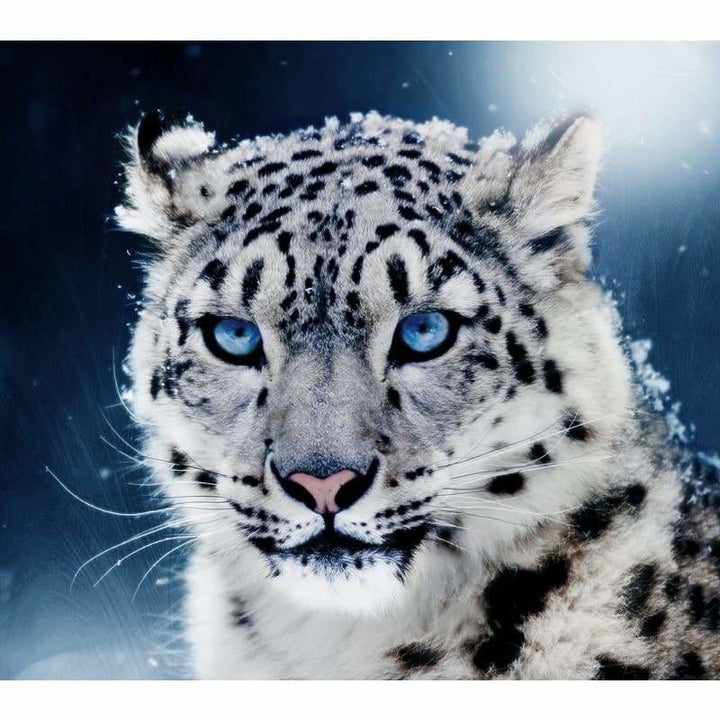 Full Drill - 5D DIY Diamond Painting Kits Black White Cool Leopard - NEEDLEWORK KITS