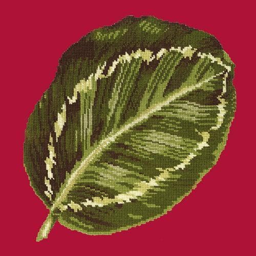 Calathea Leaf - NEEDLEWORK KITS