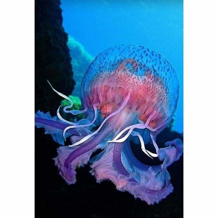 Full Drill - 5D DIY Diamond Painting Kits Jellyfish Cartoon - NEEDLEWORK KITS