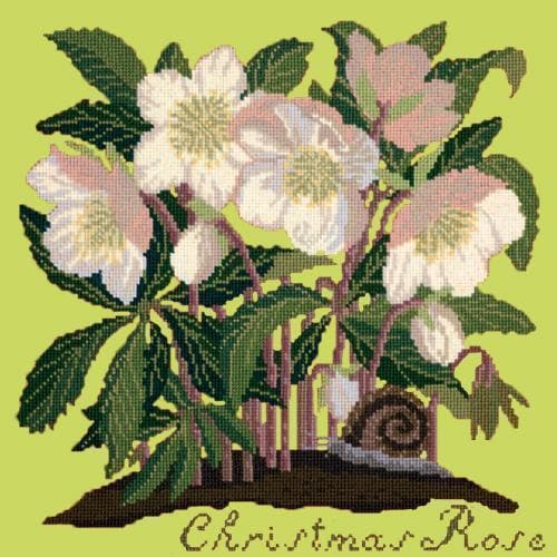 Christmas Rose - NEEDLEWORK KITS
