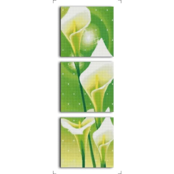 Common calla (triptych)