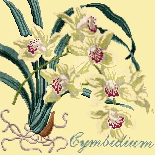 Cymbidium (Boat Orchid) - NEEDLEWORK KITS