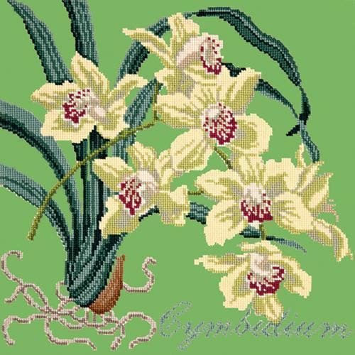 Cymbidium (Boat Orchid) - NEEDLEWORK KITS