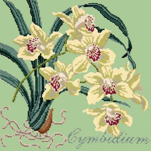 Cymbidium (Boat Orchid) - NEEDLEWORK KITS