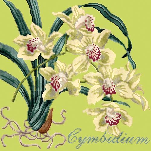 Cymbidium (Boat Orchid) - NEEDLEWORK KITS