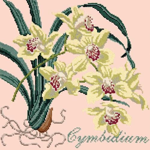 Cymbidium (Boat Orchid) - NEEDLEWORK KITS