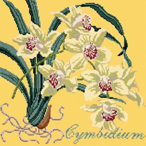 Cymbidium (Boat Orchid) - NEEDLEWORK KITS