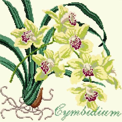 Cymbidium (Boat Orchid) - NEEDLEWORK KITS