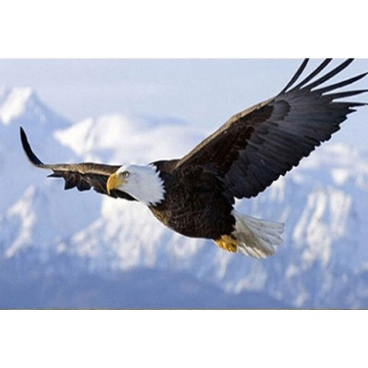 Eagle - NEEDLEWORK KITS