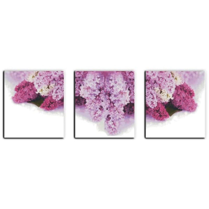 Floral language of lilac(1)