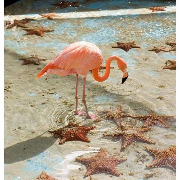 Full Drill - 5D DIY Diamond Painting Kits Pink Flamingo Starfish on the Beach - NEEDLEWORK KITS
