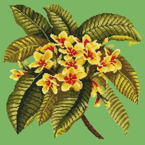 Frangipani - NEEDLEWORK KITS
