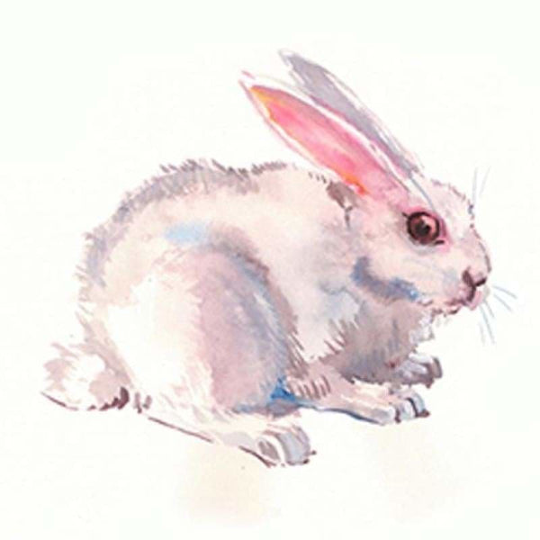 Full Drill - 5D Diamond Painting Kits Cute White Rabbit